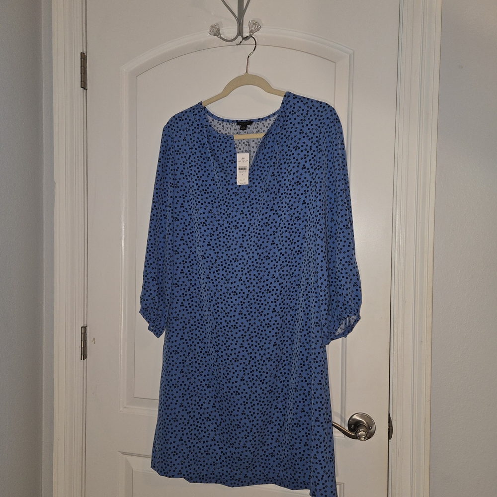 Ann Taylor Blue Long Sleeve Dress